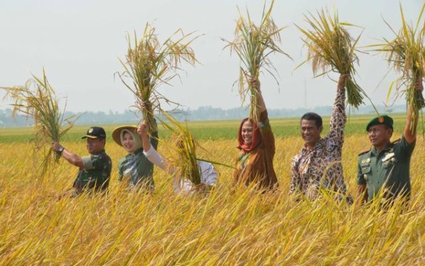 Musyawarah Daerah Asosiasi Profesi Widyaiswara Indonesia APWI Kalimantan Selatan